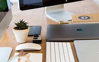 如何使用Sports全面解析